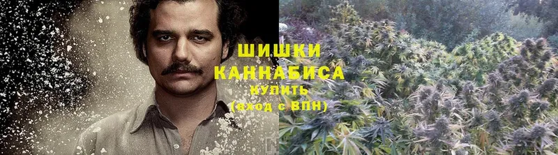 купить наркотик  Алушта  Шишки марихуана OG Kush 